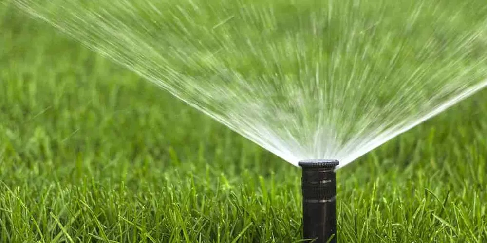 Top-rated landscaping services for beautiful yards across Ooltewah, TN - Doman's Landscape and Construction