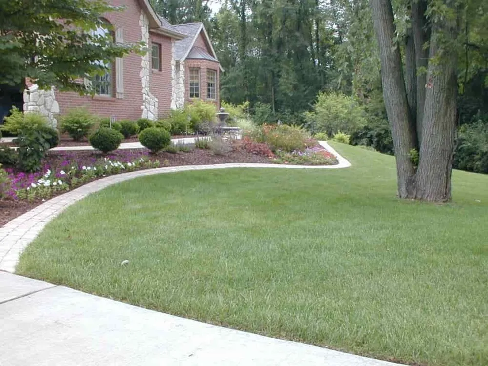 Custom yard cleanup service for homes across Ooltewah, TN - Doman's Landscape and Construction