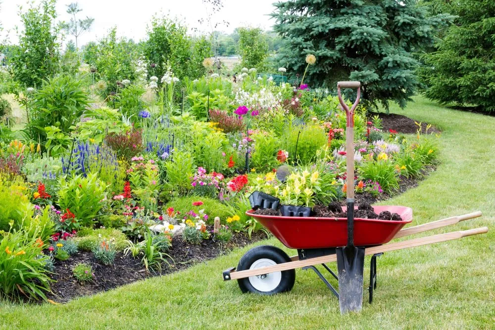 Top-rated lawn care service with custom design in Ooltewah, TN by Doman's Landscape and Construction