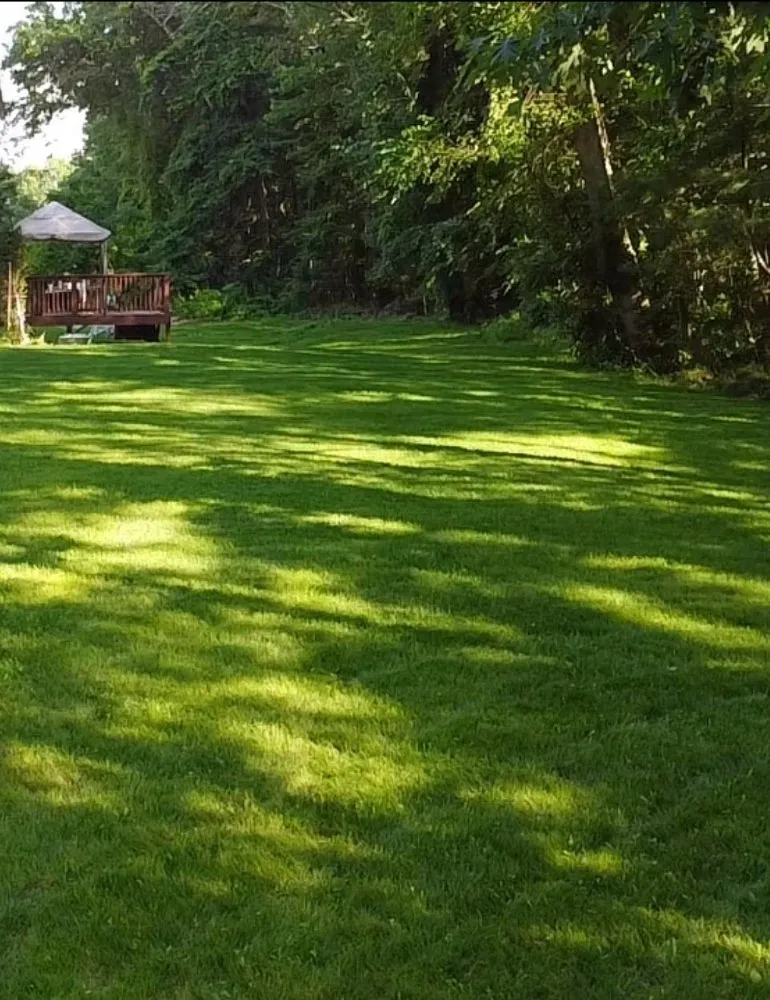 Expert lawn care service in Dracut, MA - Domark landscaping
