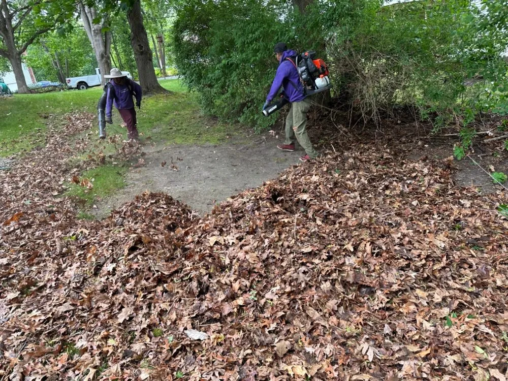 Expert landscape design for outdoor upgrades in Dracut, MA by Domark landscaping