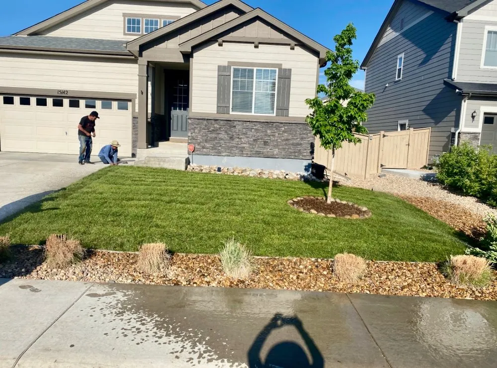 Custom lawn care service in Thornton, CO by DomArr Landscaping & Construction