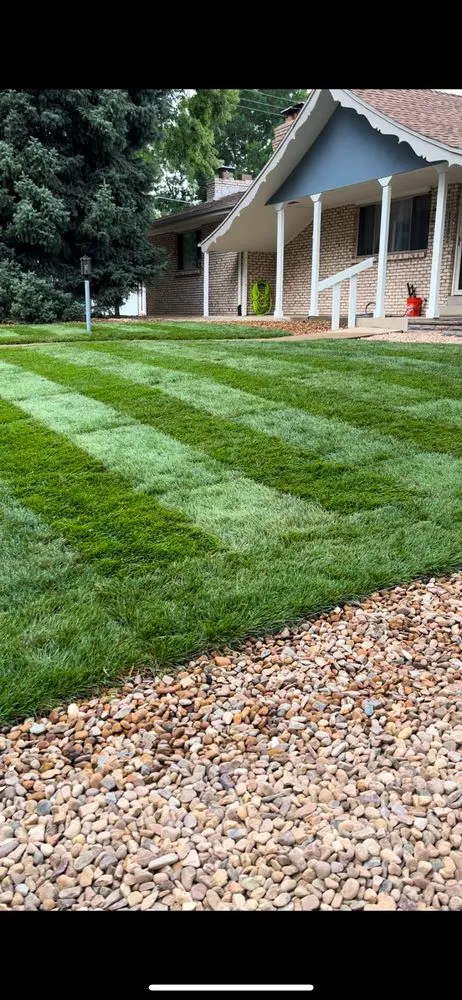 Professional lawn mowing service in Thornton, CO - DomArr Landscaping & Construction