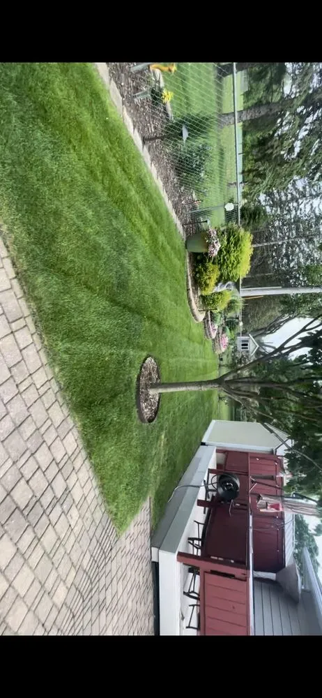 Top-rated landscape design for beautiful yards across Rochester, MN - DomBons Mowing and Services