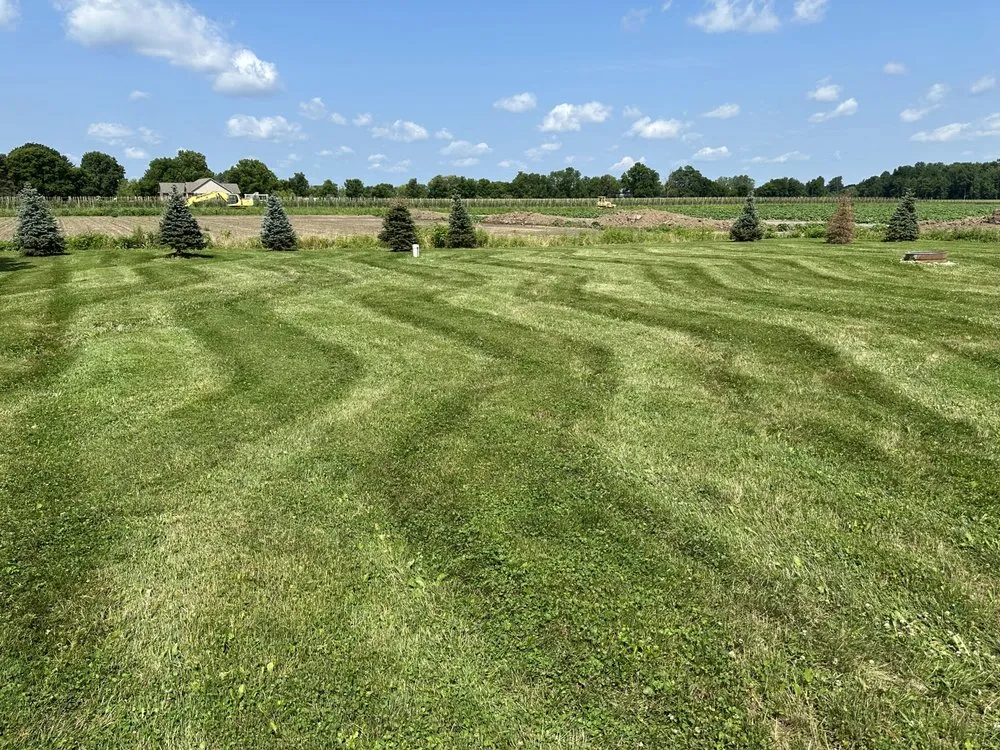 Trusted landscape installation for outdoor upgrades in St Clair, MI by Dombrowski Lawn Care