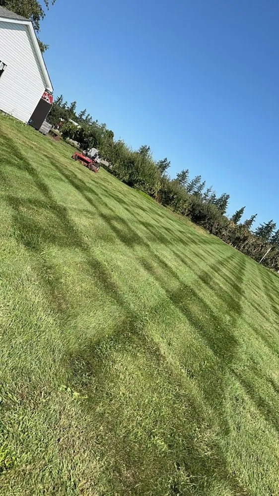 Professional residential landscaping in St Clair, MI by Dombrowski Lawn Care