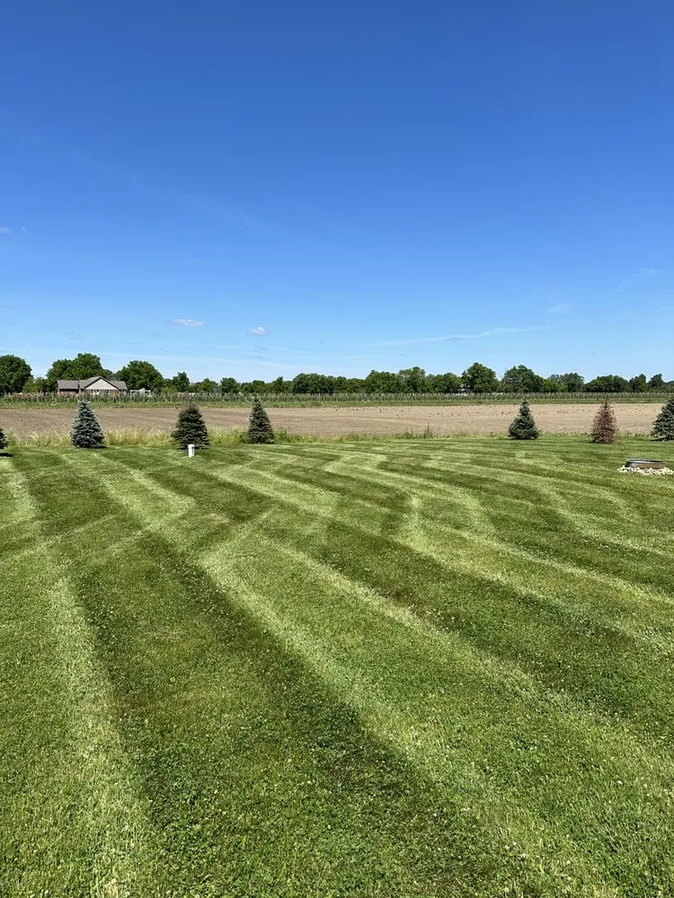 Trusted landscaping services in St Clair, MI by Dombrowski Lawn Care