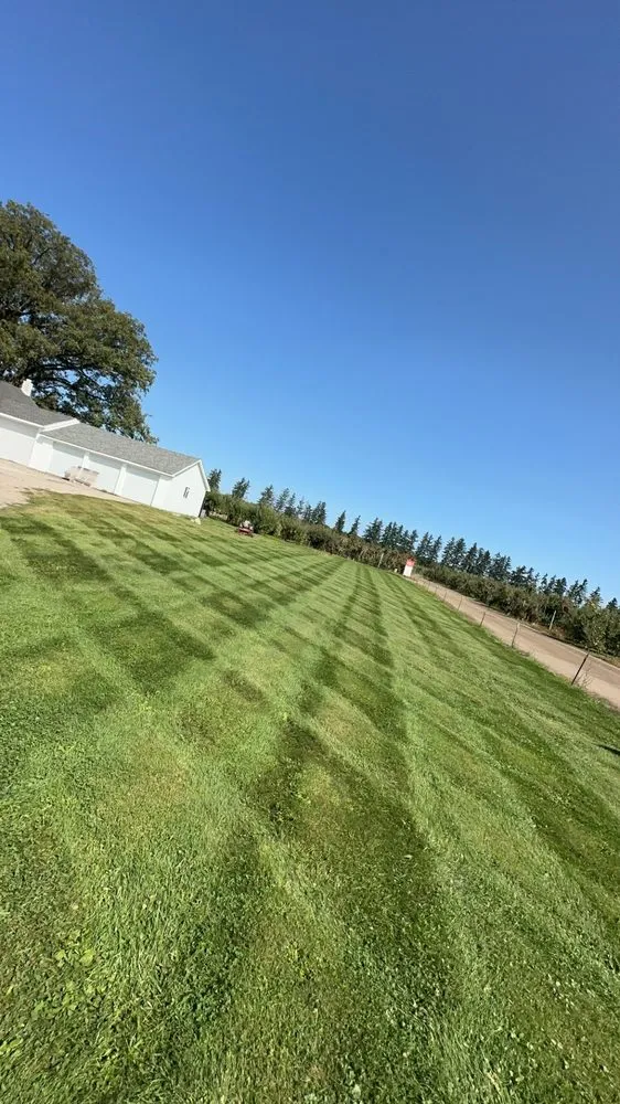 Expert yard maintenance experts serving St Clair, MI - Dombrowski Lawn Care