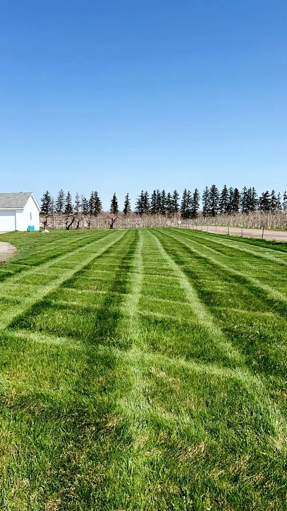 Top-rated yard maintenance in St Clair, MI - Dombrowski Lawn Care