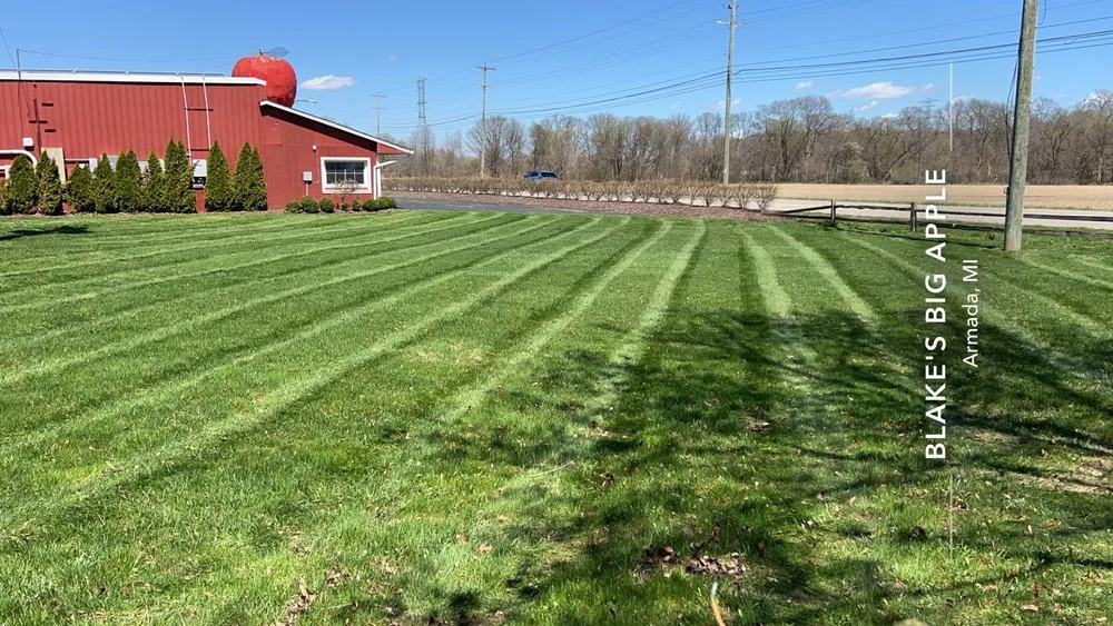 Local yard maintenance experts serving St Clair, MI - Dombrowski Lawn Care