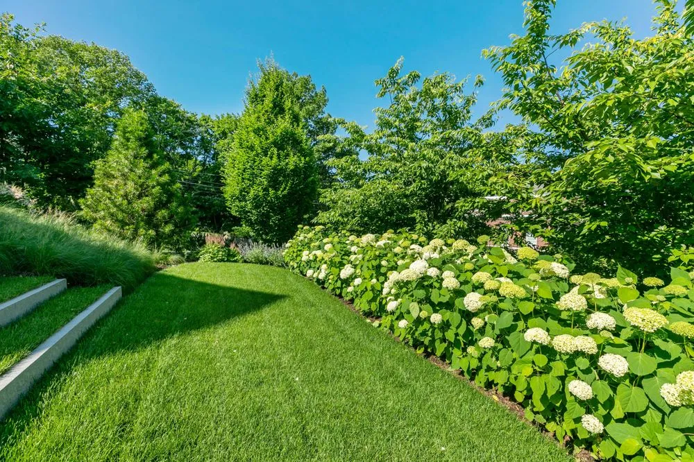 Affordable lawn mowing service for year-round maintenance across New Rochelle, NY - Domenick Bulfamante and Sons