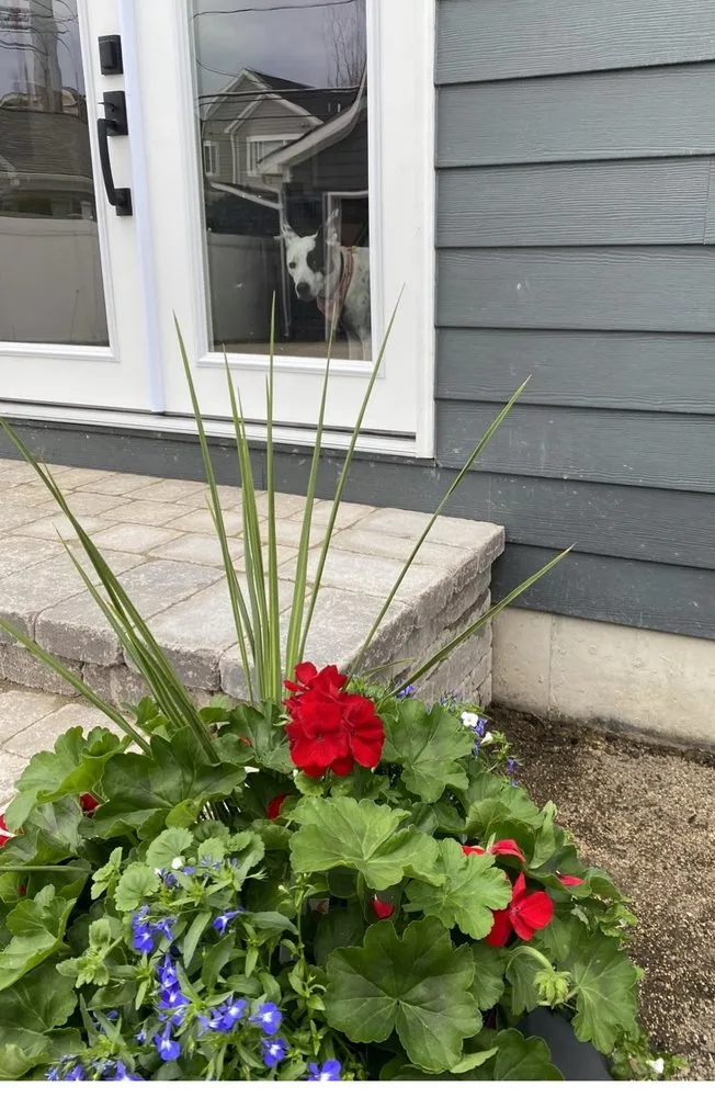 Trusted outdoor landscaping for year-round maintenance across Birmingham, MI - Domenico Brick Paving & Landscaping