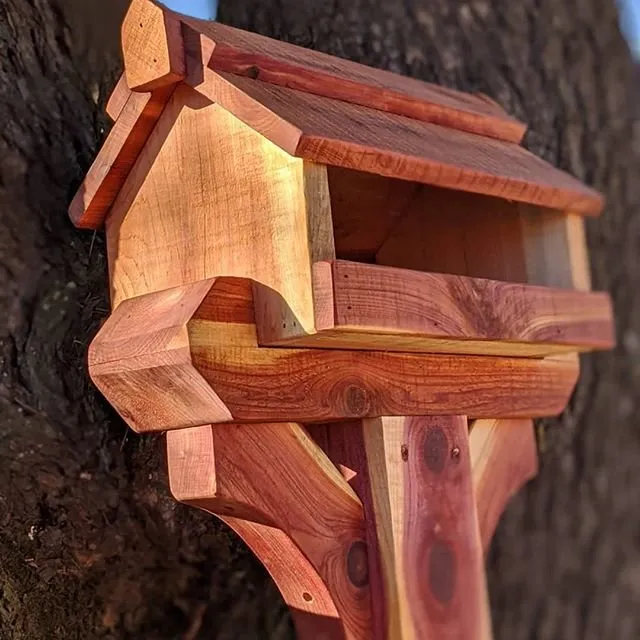 Local landscape installation for year-round maintenance across Rock Hill, SC - Domer Dreamscapes