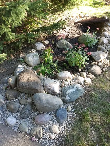 Expert yard cleanup service in Ann Arbor, MI - Domestic Dude Handyman, Landscaping And More