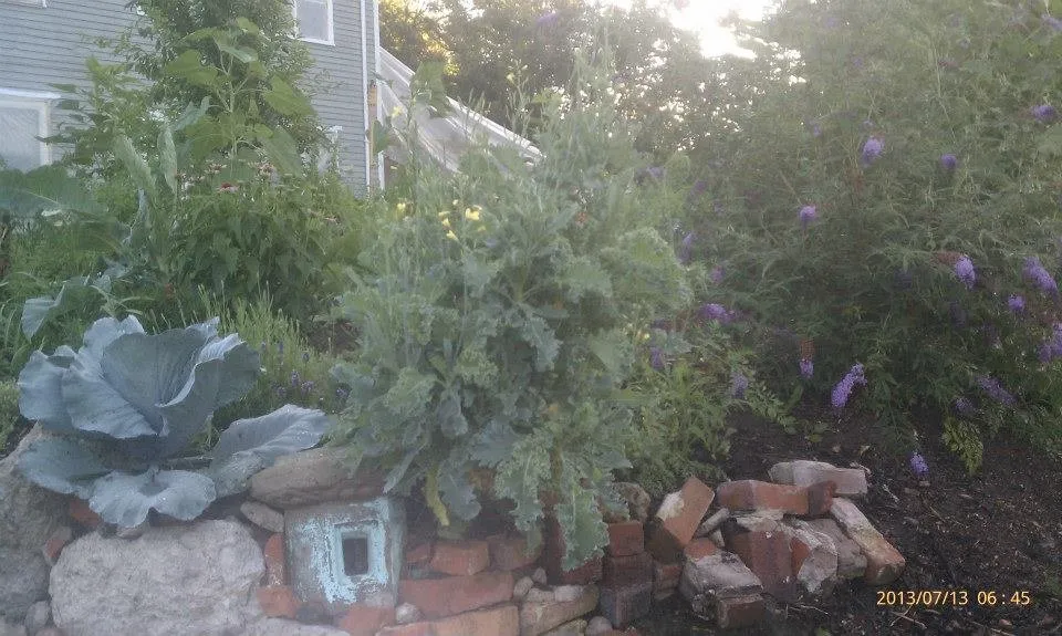 Trusted lawn mowing service in Ann Arbor, MI by Domestic Dude Handyman, Landscaping And More