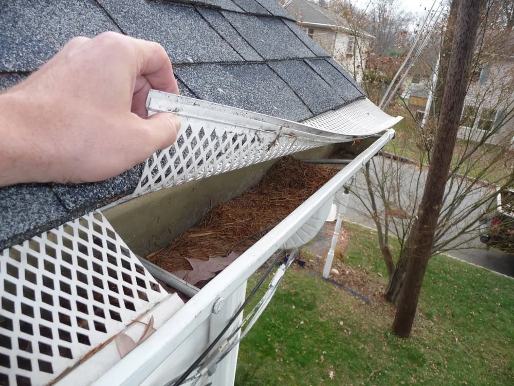 Trusted garden landscaping in Bloomfield, NJ by Domestic Dynamics