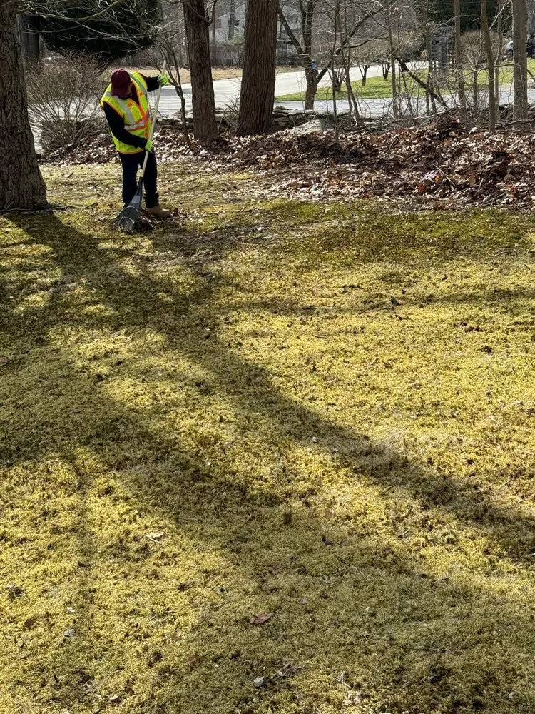 Local landscape installation experts serving Willimantic, CT - Domingo Green Leaf Lawn Care