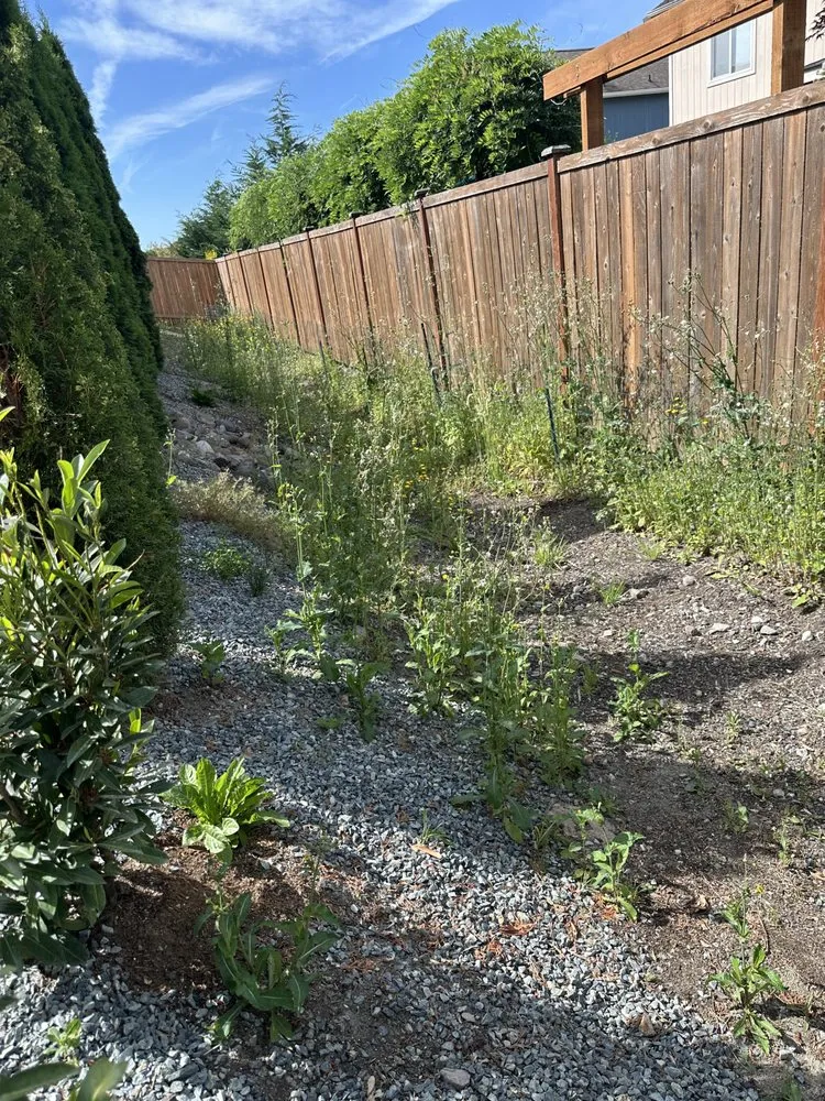 Trusted lawn mowing service in Belfair, WA by Domingo Landscaping and Maintenance Services