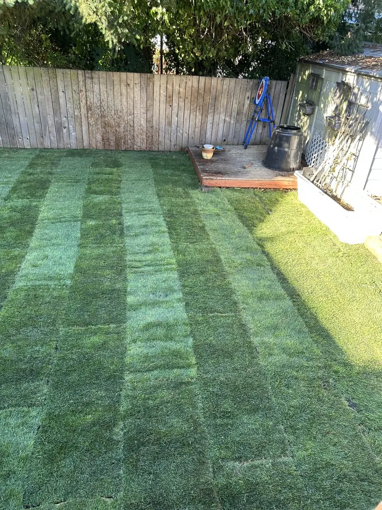 Affordable lawn mowing service for year-round maintenance across Belfair, WA - Domingo Landscaping and Maintenance Services