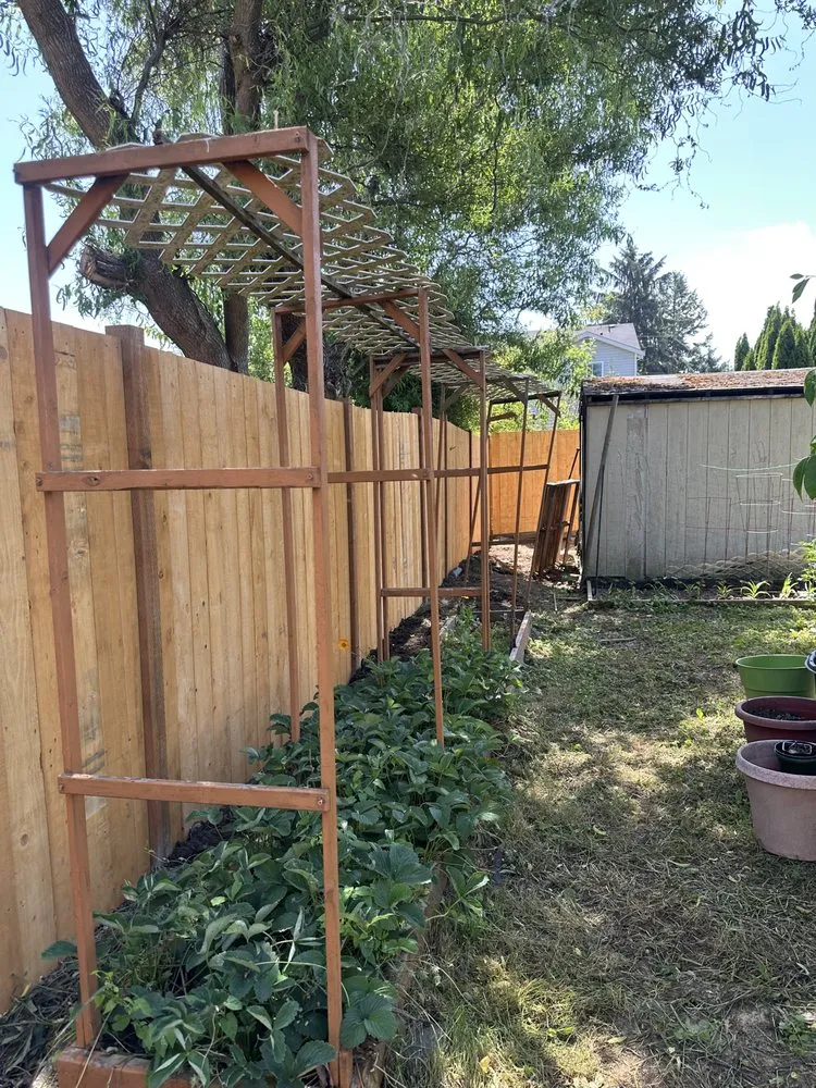 Reliable yard maintenance for homes across Belfair, WA - Domingo Landscaping and Maintenance Services