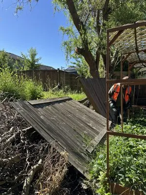 Domingo Landscaping and Maintenance Services Logo