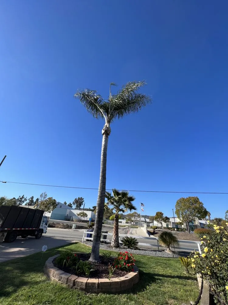 Professional lawn mowing service in Escondido, CA - Domingo Landscaping