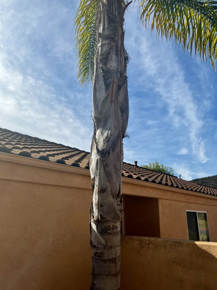 Local landscape installation near you in Escondido, CA by Domingo Landscaping