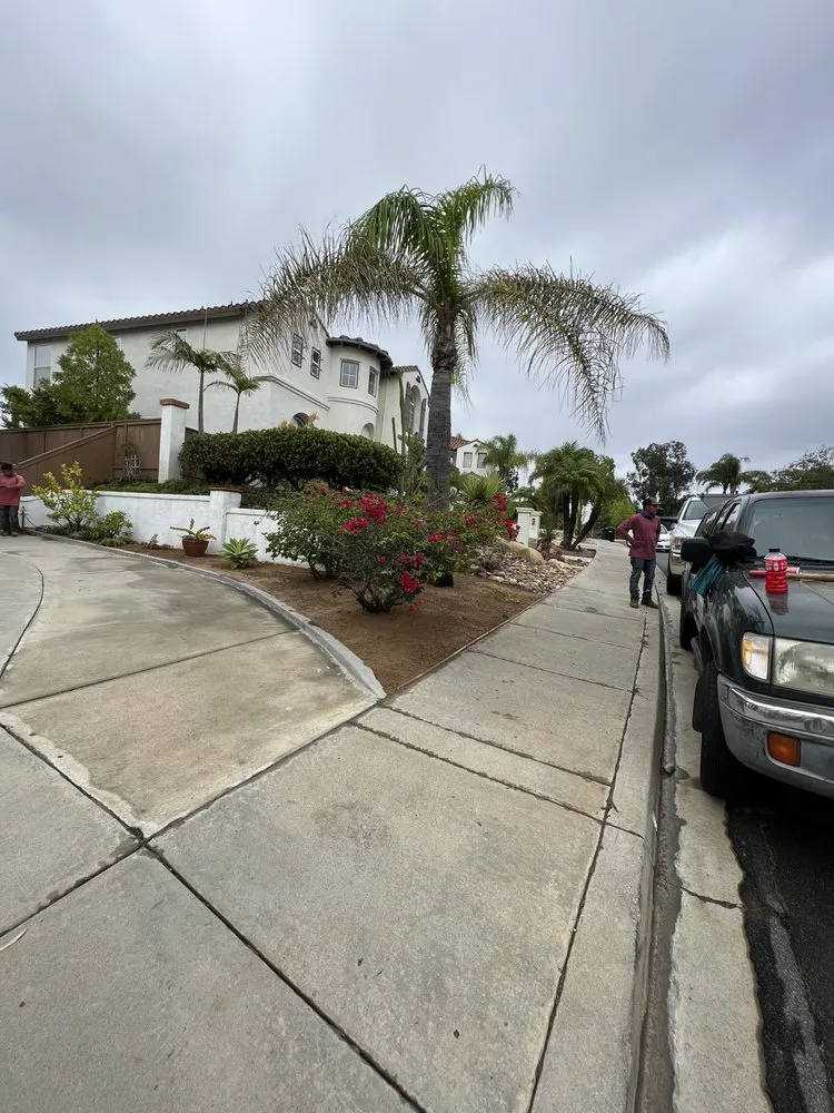 Professional lawn care service near you across Escondido, CA - Domingo Landscaping