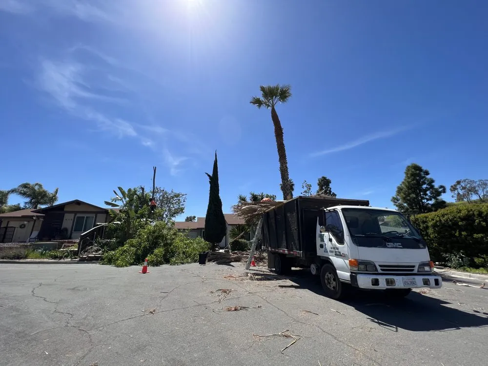 Top-rated landscaping services in Escondido, CA by Domingo Landscaping