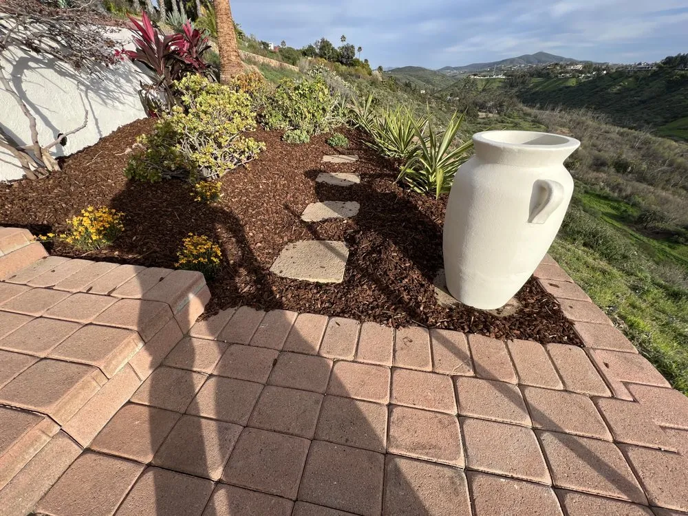 Professional lawn care service for year-round maintenance across Escondido, CA - Domingo Landscaping