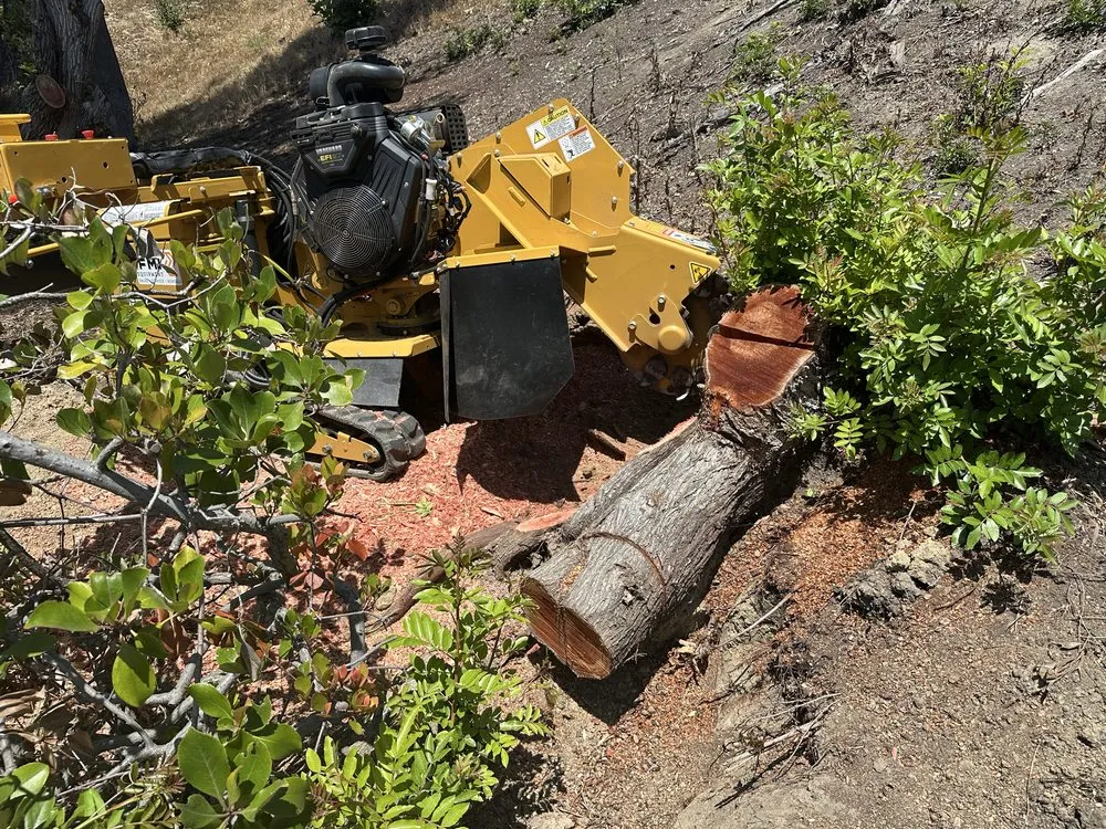 Custom landscape design experts serving Escondido, CA - Domingo Landscaping