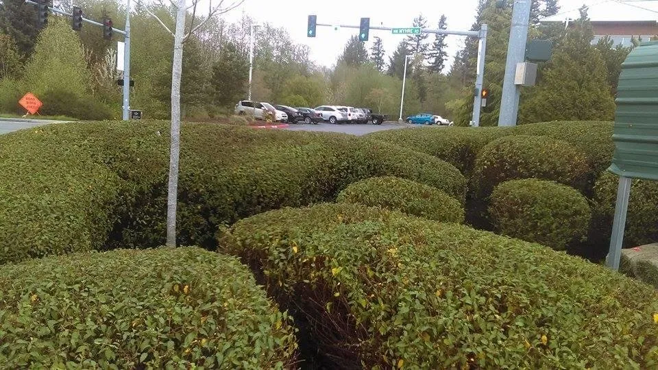 Top-rated garden landscaping for homes in Belfair, WA by Domingo Landscaping Maintenance Service