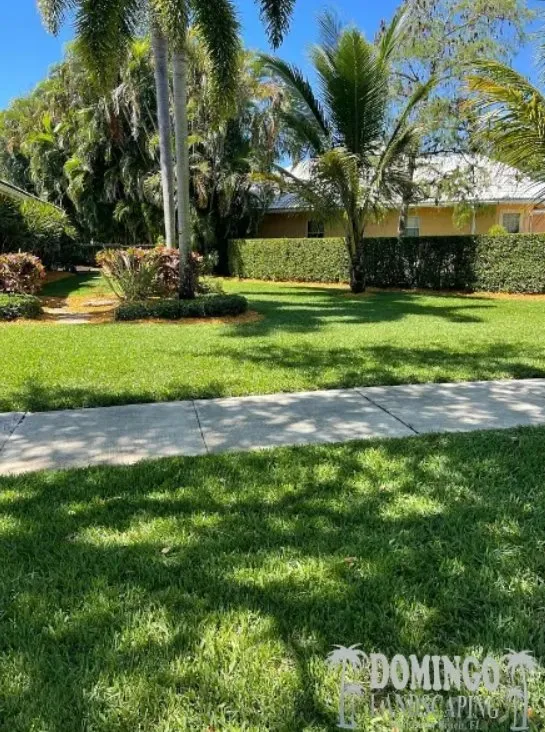 Expert landscape design in Loxahatchee, FL by Domingo Landscaping WPB