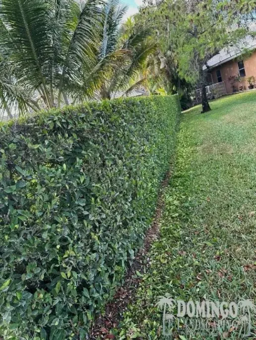 Professional garden landscaping in Loxahatchee, FL - Domingo Landscaping WPB