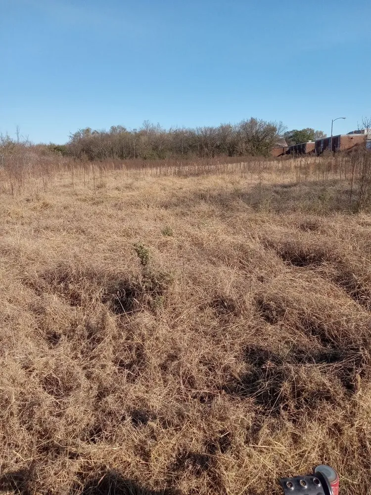 Reliable landscaping services in Chattanooga, TN - Domingo Lawn care