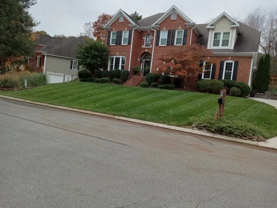 Top-rated yard maintenance in Chattanooga, TN - Domingo Lawn care