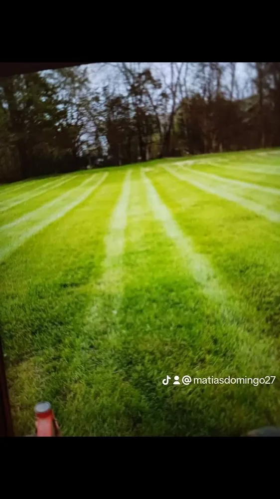 Top-rated landscape installation in Chattanooga, TN by Domingo Lawn care