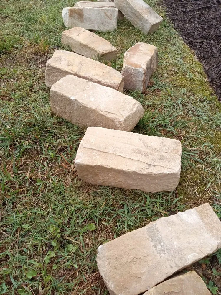 Expert yard cleanup service in Chattanooga, TN - Domingo Lawn care