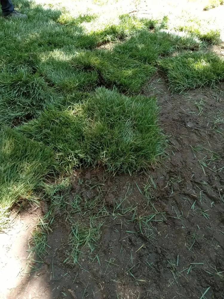 Expert landscape design with custom design in Chattanooga, TN by Domingo Lawn care