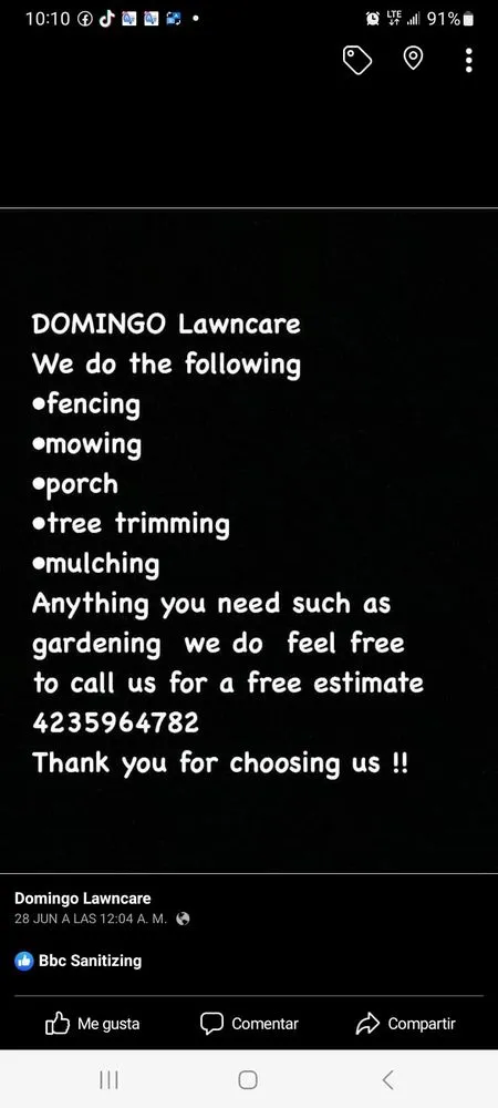 Local yard maintenance in Chattanooga, TN - Domingo Lawn care