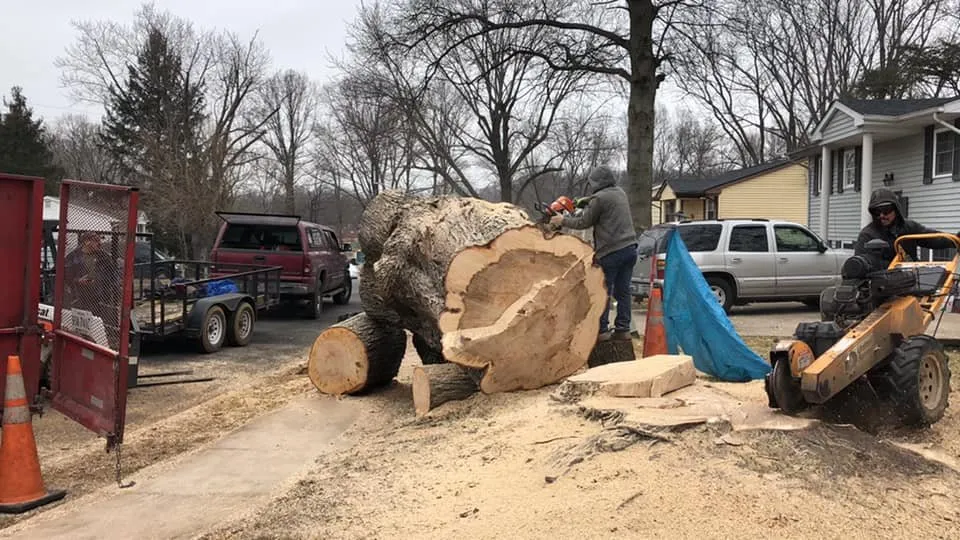 Local garden landscaping in Fredericksburg, VA - Domingo Mateo Landscaping