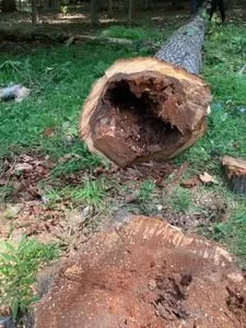 Top-rated landscape design for beautiful yards across Fredericksburg, VA - Domingo Mateo Landscaping