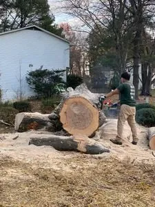 Reliable landscape design experts serving Fredericksburg, VA - Domingo Mateo Landscaping