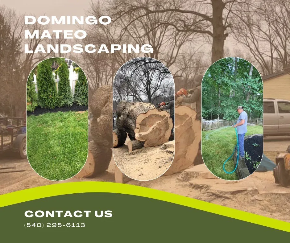 Custom landscape installation experts serving Fredericksburg, VA - Domingo Mateo Landscaping