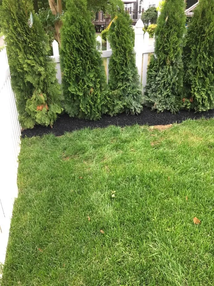 Local yard cleanup service experts serving Fredericksburg, VA - Domingo Mateo Landscaping