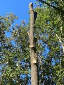 Professional garden landscaping experts serving Fredericksburg, VA - Domingo Mateo Landscaping