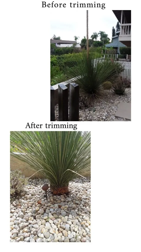 Reliable outdoor landscaping for residential properties across Poway, CA - Domingo Pedro Gardening