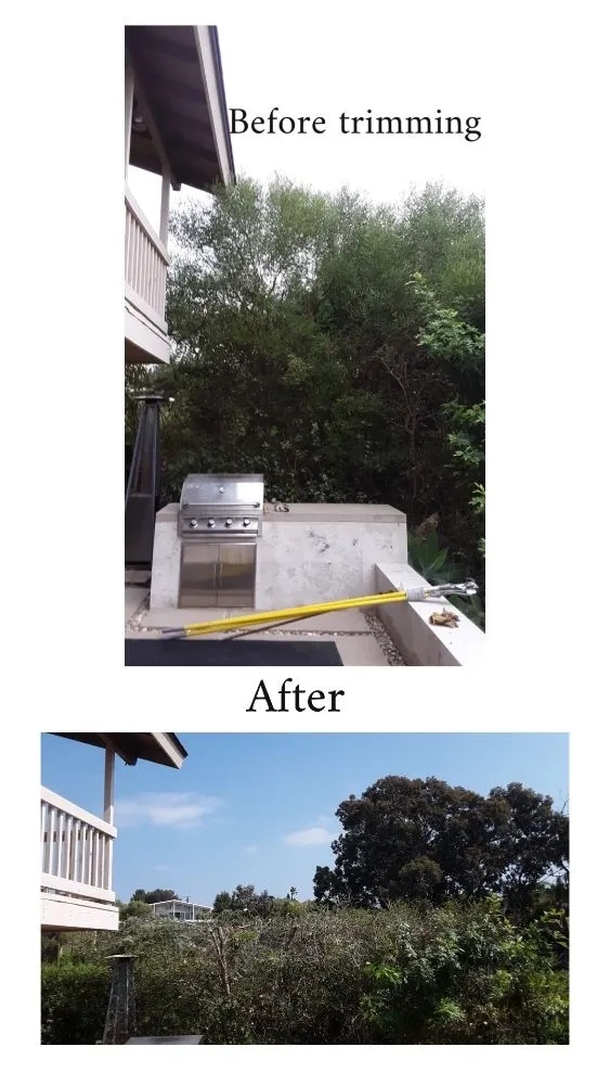 Trusted landscape design experts serving Poway, CA - Domingo Pedro Gardening