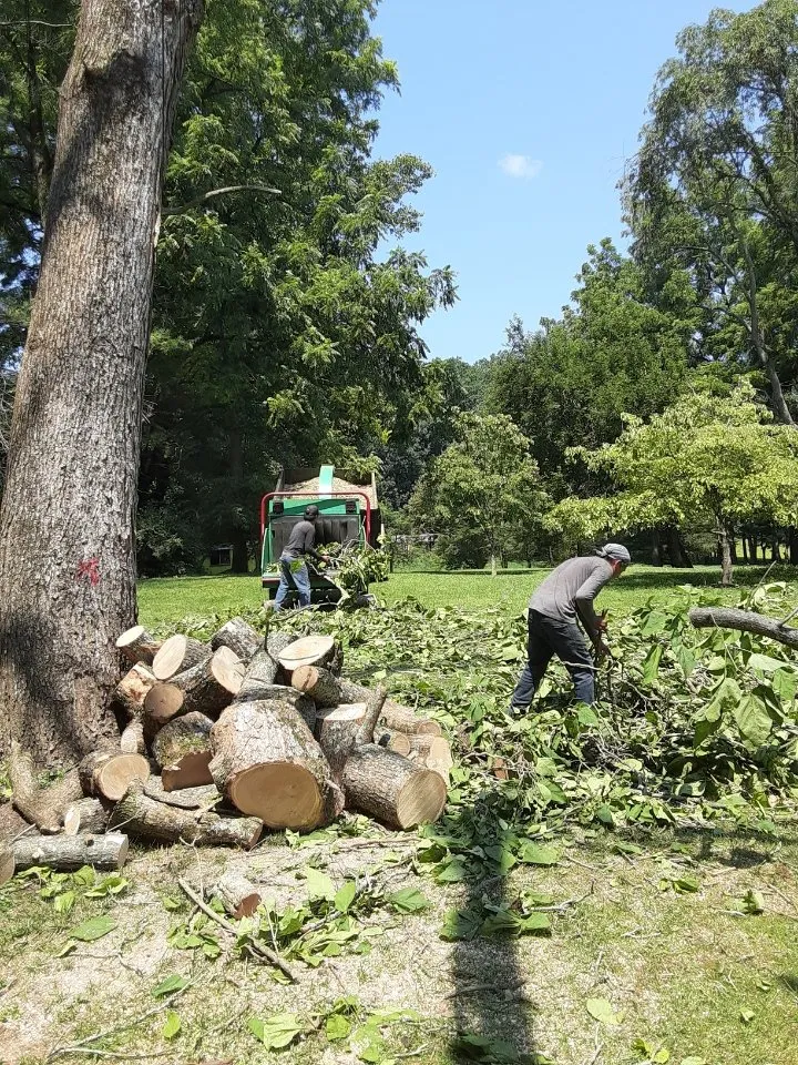 Trusted outdoor landscaping in Bealeton, VA - Domingo Tree & Landscaping Service