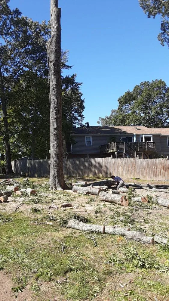 Professional yard cleanup service near you across Bealeton, VA - Domingo Tree & Landscaping Service